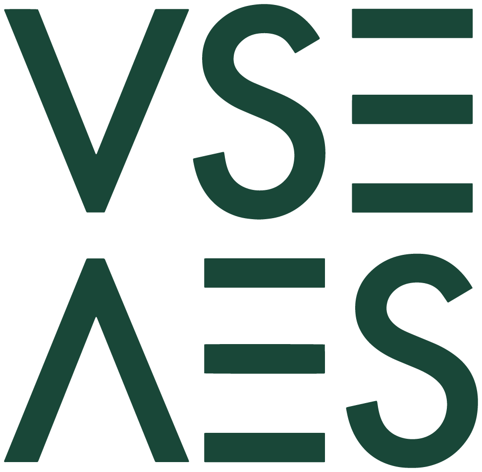 VSE AES